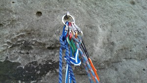 IMAG2207