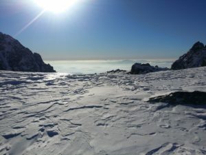 Teli 2018_FabokMarton5_nz