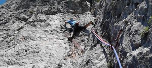 Absurdistan_SZP_4_thumb