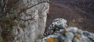 kopus_2019_jzy_thumb