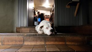 TeliAlpesi_2022_2turnus_IMAG4854