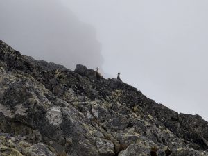 Buzgó Botond: Szezonnyitó a Magas-Tátrában, 2022