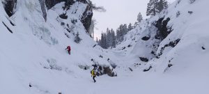 jegmaszo_2024_borító_4