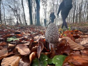 trepnis_tanfolyam_2025_09