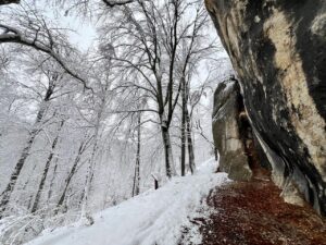 trepnis_tanfolyam_2025_26