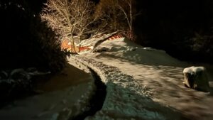 trepnis_tanfolyam_2025_32